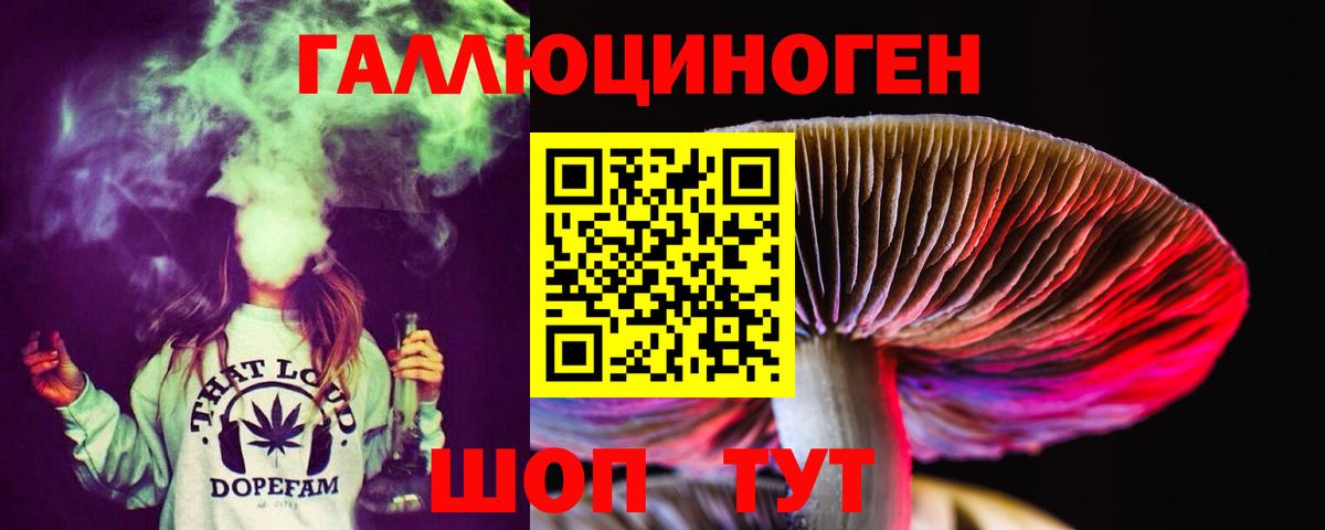 Галлюциногенные грибы Cubensis Долгопрудный